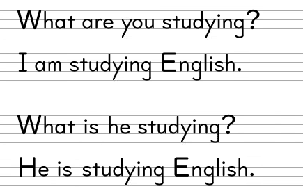 What are you studying?