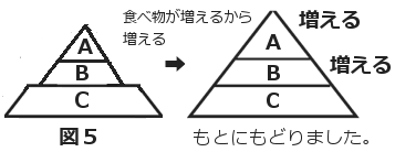 食物連鎖