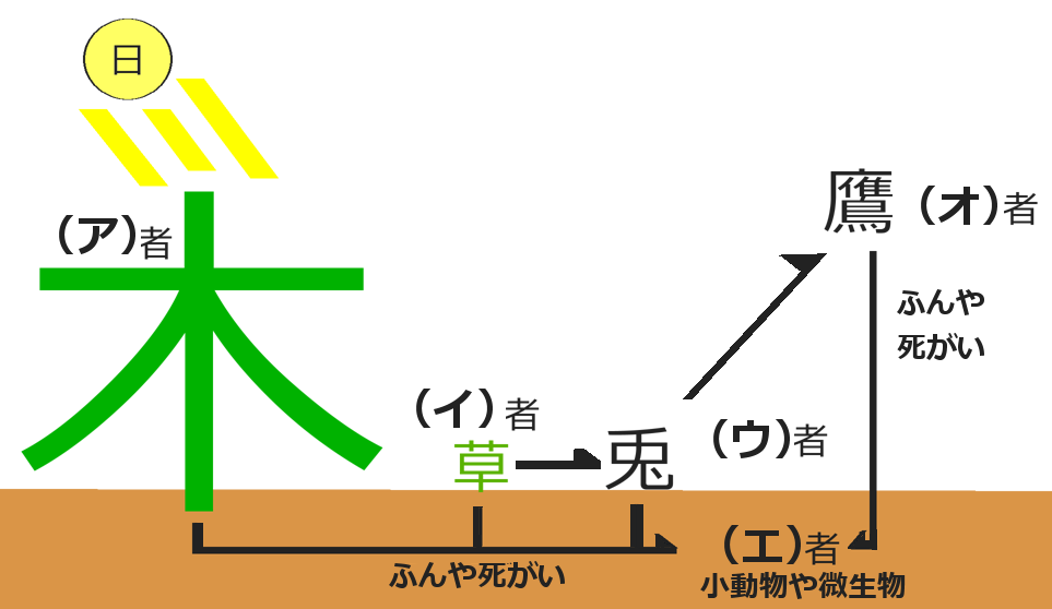 食物連鎖