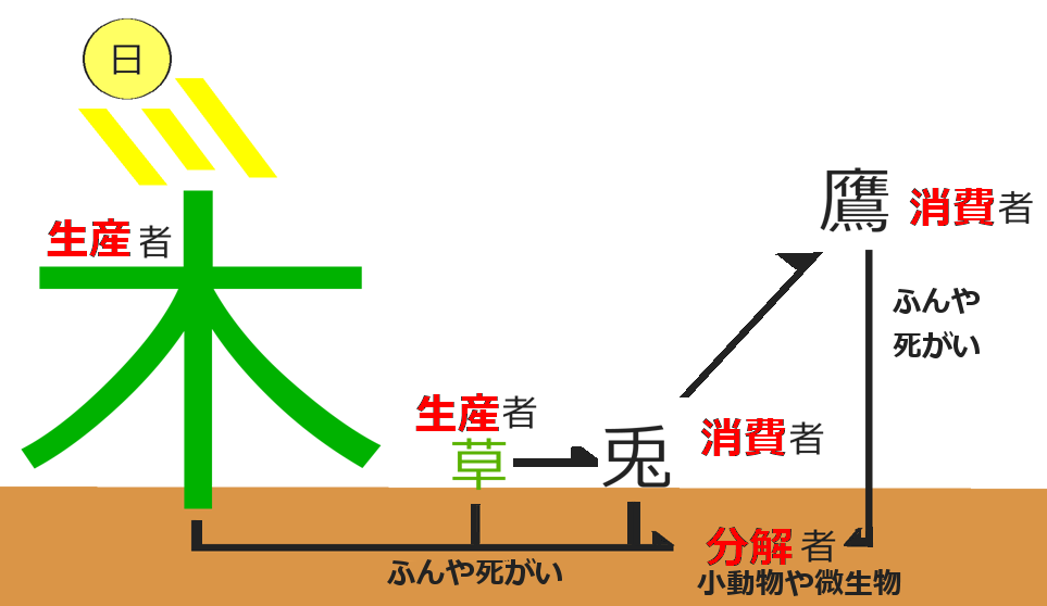 食物連鎖