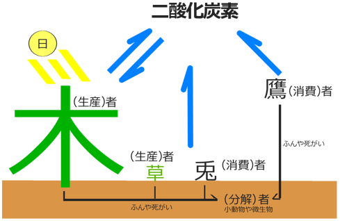 食物連鎖