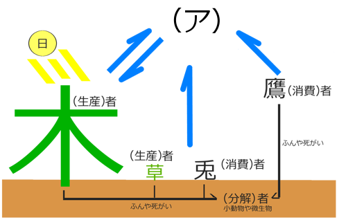 食物連鎖