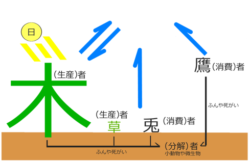 食物連鎖