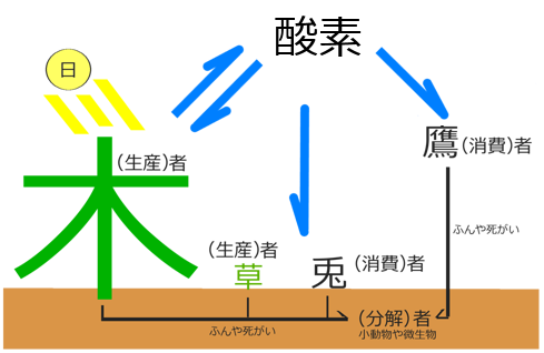 食物連鎖