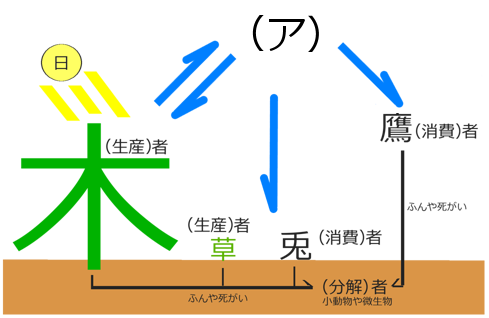 食物連鎖