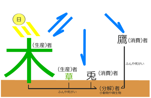 食物連鎖