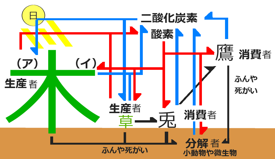 食物連鎖