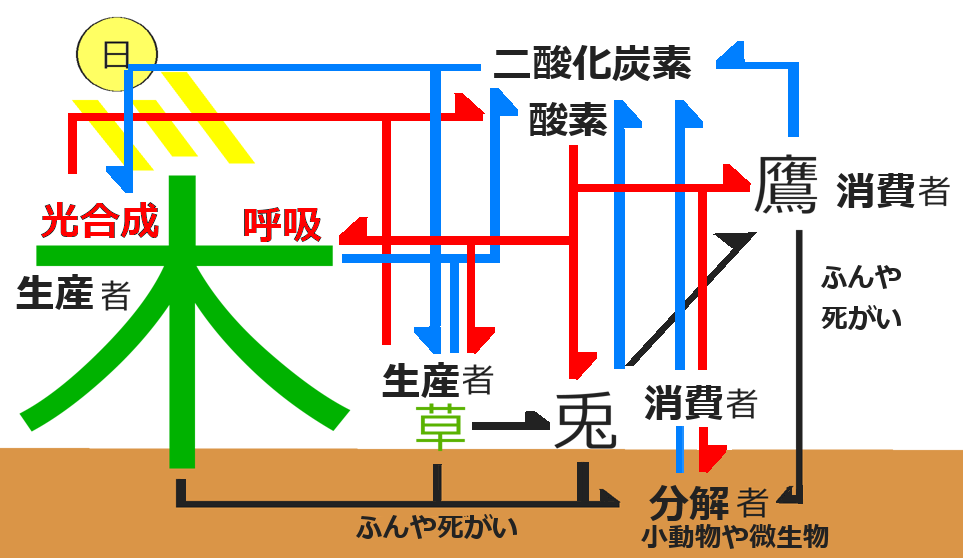 食物連鎖