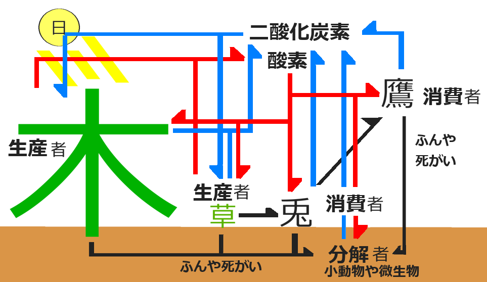 食物連鎖