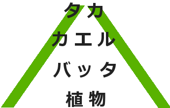 食物連鎖