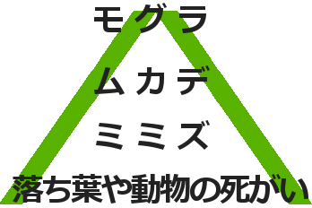 食物連鎖