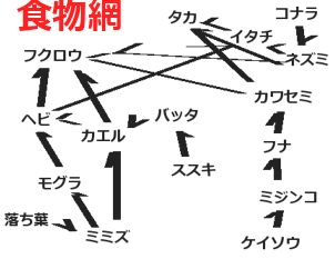 食物網