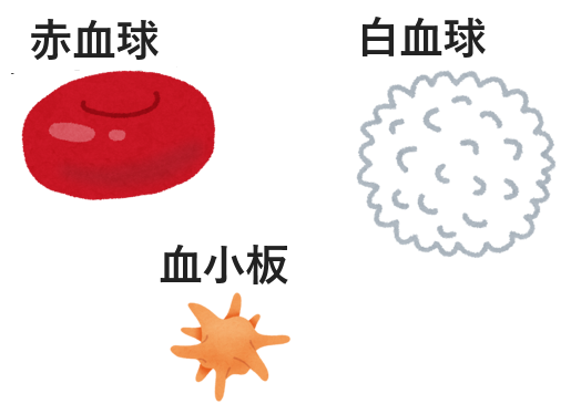 血液成分