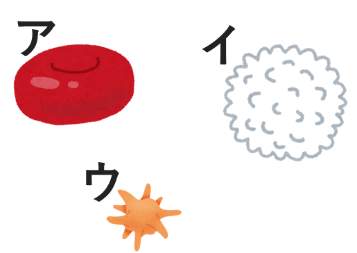 血液成分