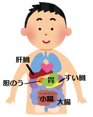 内臓