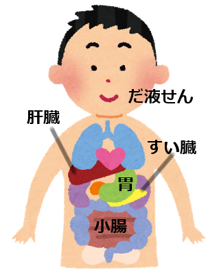内臓
