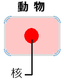 染色した細胞