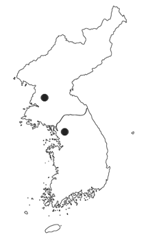 朝鮮半島